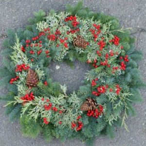 Buy Christmas Plants