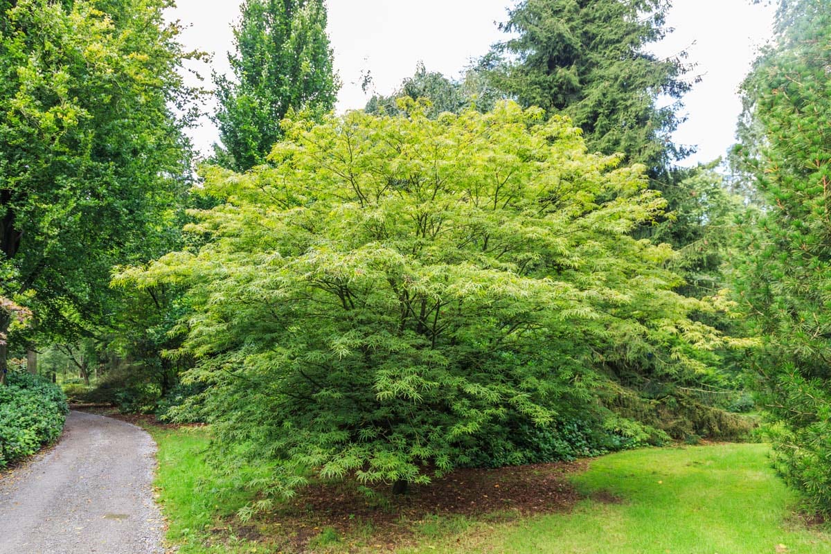 shutterstock_761134873_18